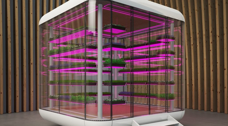 Дизайнеры показали инновационную теплицу для выращивания зелени