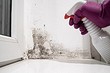 Как избавиться от черной плесени: полная инструкция