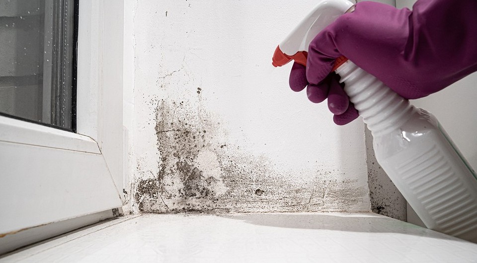 Как вывести грибок на стенах в домашних условиях: самые действенные способы