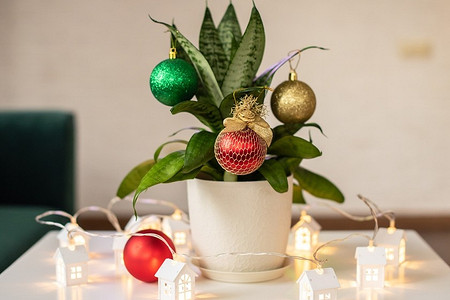 6 красивых способов включить комнатные растения в новогодний декор