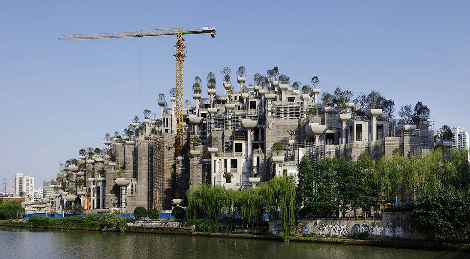 1000 колонн с растениями: в Китае открылся необычный дом