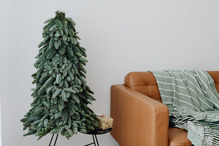 Куда поставить новогоднюю елку в доме: 13 наглядных идей