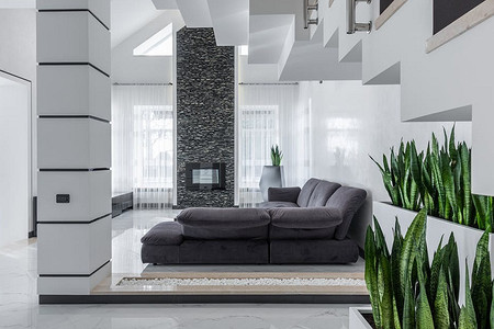 6 растений, с которыми интерьер будет выглядеть дороже