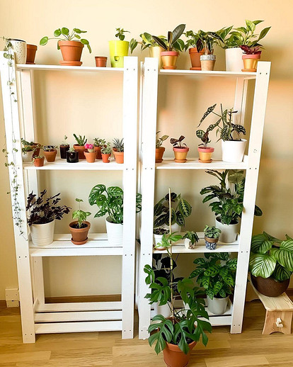 Икеа стеллаж под цветы - 80 фото