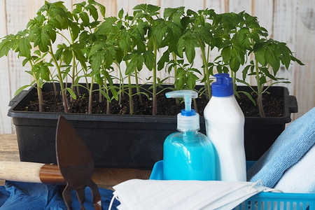 5 эффективных методов обеззараживания почвы для рассады