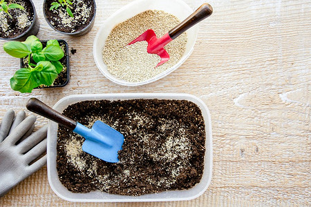 Как подготовить землю для рассады: понятная инструкция