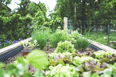 5 важных дел в саду, которые стоит запланировать на май