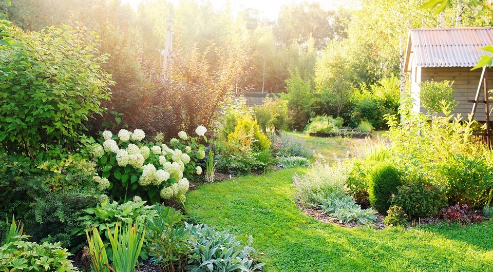 Никаких покрышек: 6 идей для оформления сада с заботой о природе