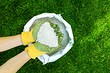 Как использовать мочевину на огороде весной: 4 способа применения удобрения