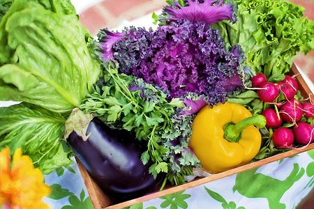 6 ошибок в хранении сезонного урожая, которые сведут на нет ваши усилия