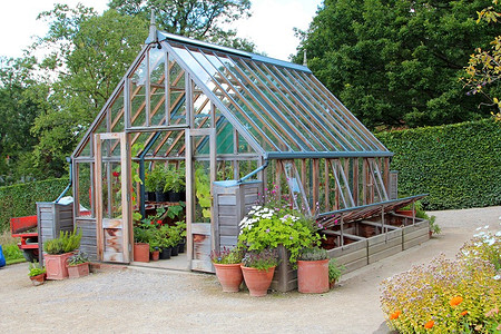 Как и чем обработать теплицу от паутинного клеща: 5 способов борьбы с вредителем