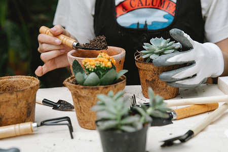 6 предметов для ухода за цветами, которые должны быть в каждом доме