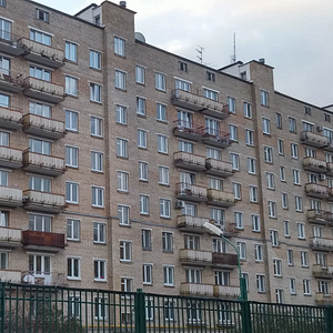  Кирпичный