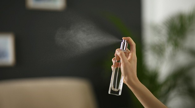 Как избавиться от запаха в квартире: причины и способы устранения