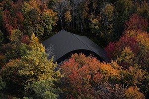 Посреди канадского леса построили угловатый дом с «золотым» интерьером