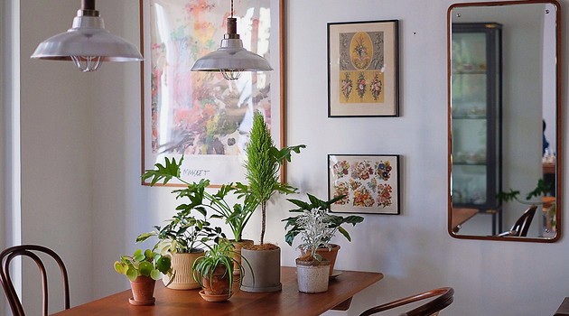 5 ошибок, которые совершают в желании озеленить квартиру