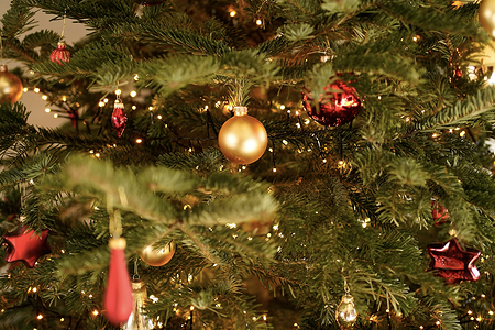 В угол, на стол или на стену: 6 искусственных елок, которые подойдут всем