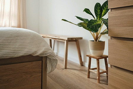 6 неприхотливых растений, которые можно оставить без ухода на длинные выходные