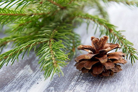 Как использовать хвою с елки в быту после Нового года: 6 способов