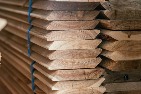 14 пород древесины, которые используют в строительстве (с описанием свойств и сравнением)