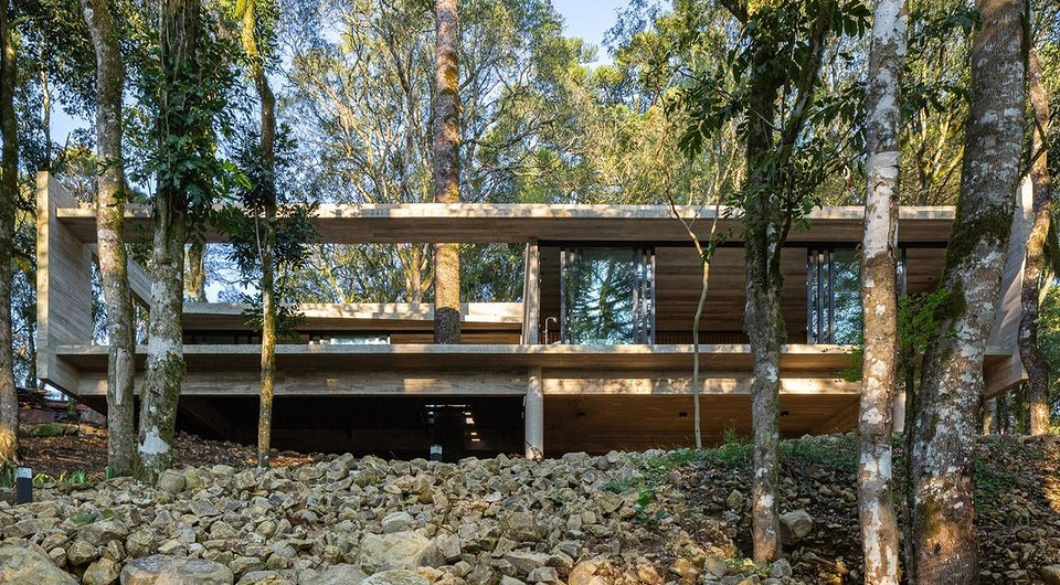 Дерево посреди террасы: в Бразилии построили оригинальный частный дом