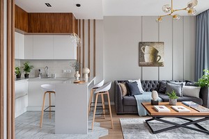 Кухня-гостиная 20 кв. м: особенности дизайна, планировки и примеры проектов