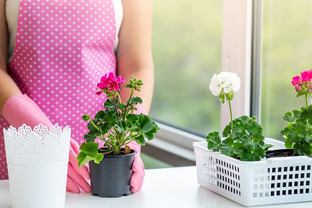 Вы не знали: 6 хитростей цветоводов, которые помогут в разведении растений