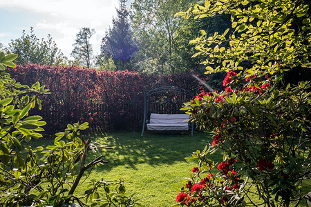 6 бюджетных решений для оформления сада этой весной