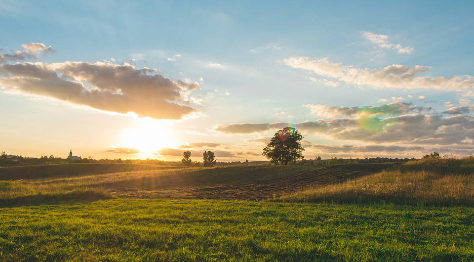 Аналитики выяснили, как изменилась стоимость и площадь участков под строительство дома в Московской области