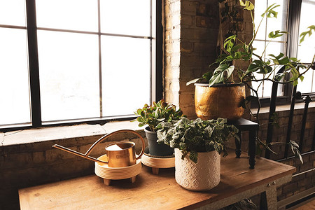 5 ошибок в удобрении комнатных растений