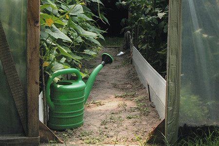 8 удобрений, которые нужно внести в почву уже сейчас