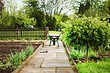 5 спорных приемов в оформлении сада, которые нужно применять с осторожностью
