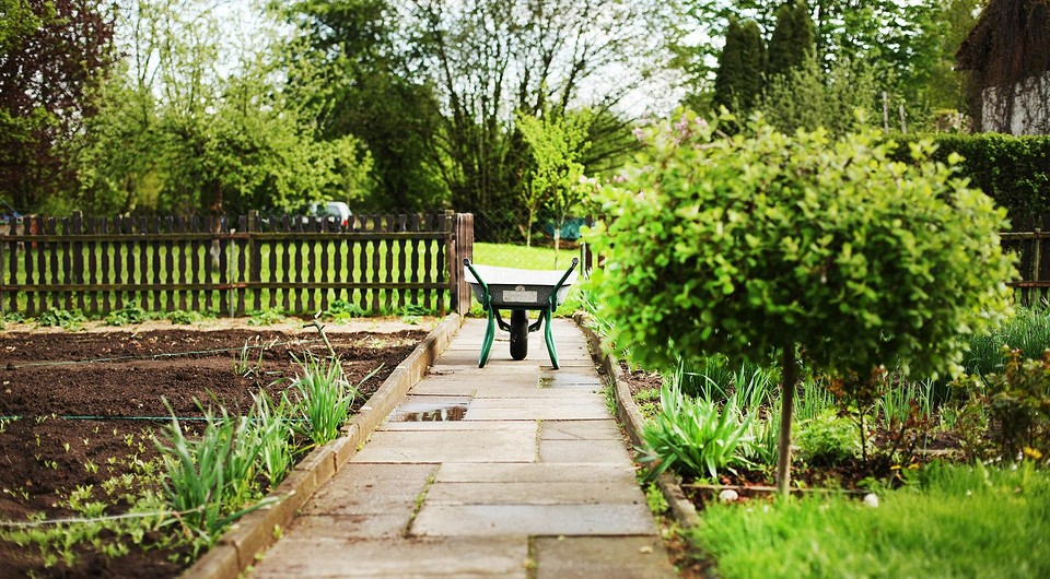 5 спорных приемов в оформлении сада, которые нужно применять с осторожностью
