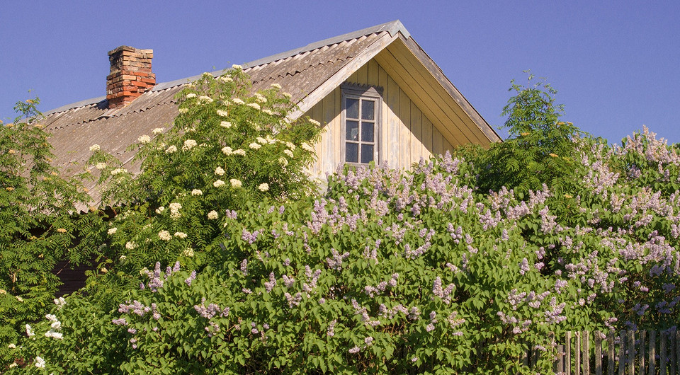Аналитики подсчитали, в каких городских округах Подмосковья больше всего подорожали дачи Аналитики подсчитали, в каких городских округах Подмосковья больше всего подорожали дачи