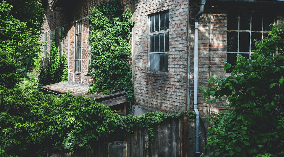 Лидером по росту цен на дачи стала Ивановская область Лидером по росту цен на дачи стала Ивановская область