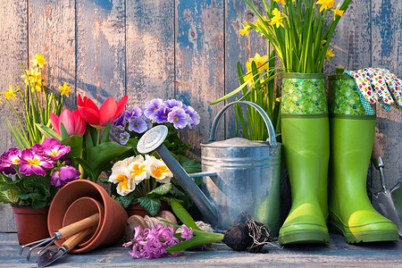 В закладки: 17 полезных советов для дачи и огорода