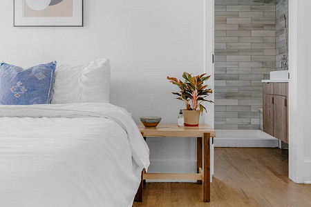 Держитесь подальше: 7 домашних растений, которые могут навредить