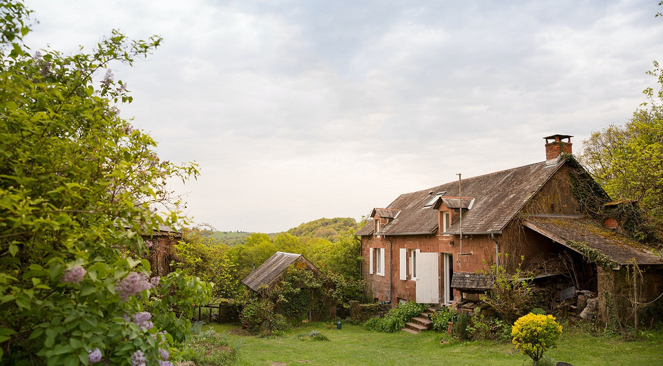 Аналитики нашли самую бюджетную дачу в аренду в Подмосковье Аналитики нашли самую бюджетную дачу в аренду в Подмосковье