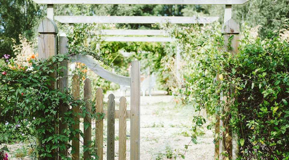 Аналитики выяснили, какие услуги для дома пользовались наибольшим спросом у россиян