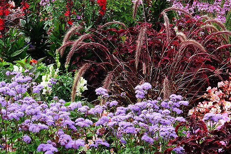 Это модно и просто: 9 неприхотливых растений для сада, которые в тренде