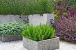 Вазоны из бетона для дачи и сада своими руками: 4 способа создания и 51 фото