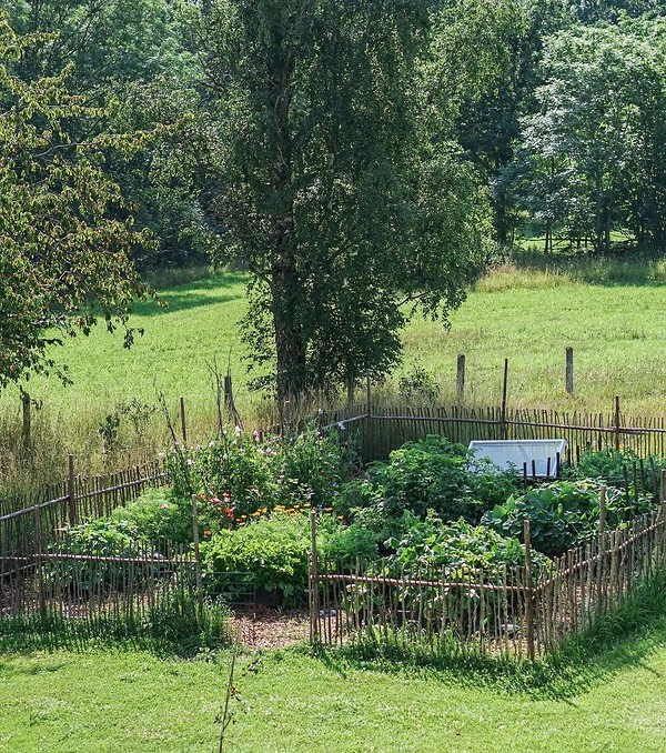 Огород: о как красиво и практично сделать грядки
