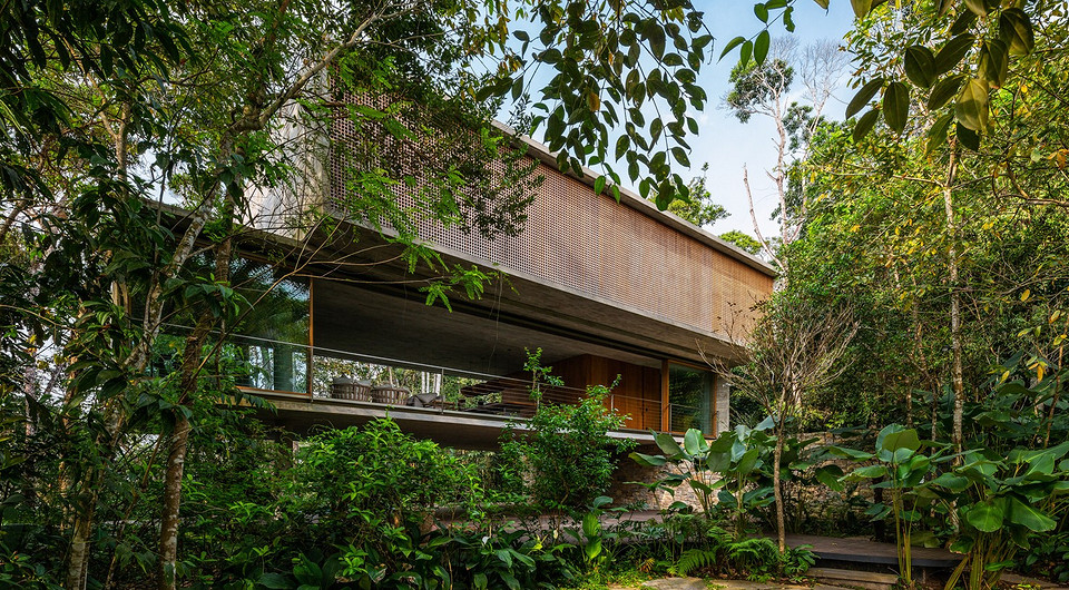В Бразилии построили дом на «ножках» посреди густых джунглей