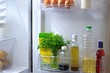 Как хранить зелень в холодильнике, чтобы она оставалась свежей: 5 способов