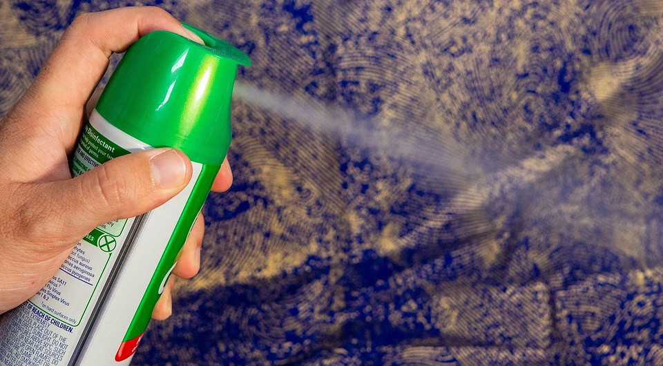 Как избавиться от блох в доме и квартире: 9 лучших способов и инструкция