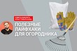 Видео: какие растения нельзя сажать рядом и чем удобрить почву? Рассказал биолог!