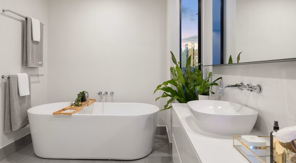 И так тоже можно: 8 комнатных растений, подходящих для санузла