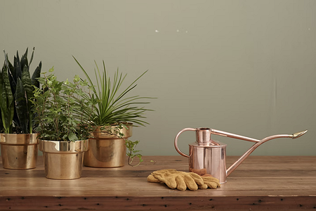 8 самых красивых товаров для комнатных растений, которые вам нужны