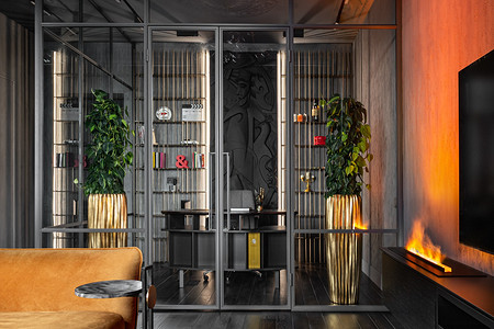 Темные цвета и много лепнины: квартира в старом фонде Санкт-Петербурга 