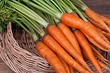 Как хранить морковь, чтобы она пролежала всю зиму: 13 способов